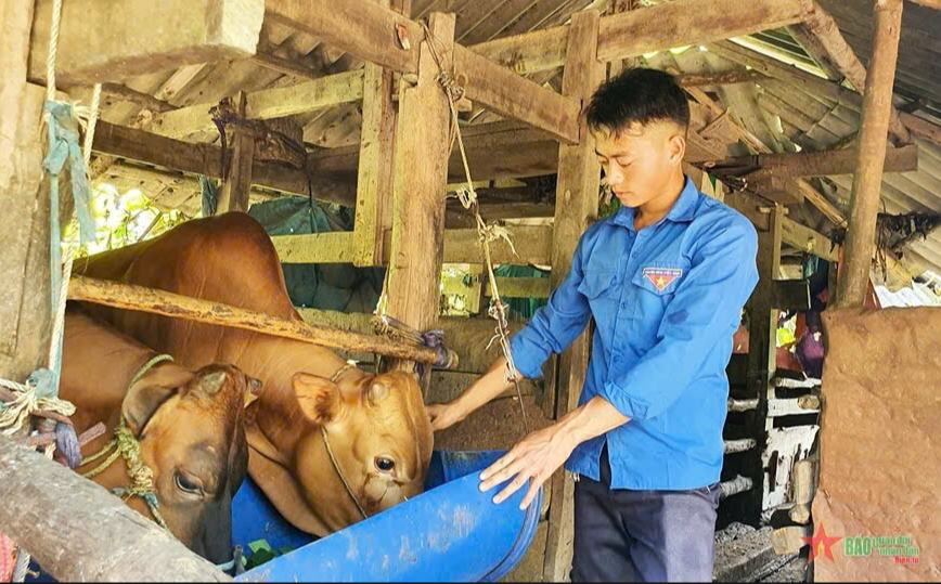 Hiệu quả trong việc vay vốn từ NHCSXH trong phát triển kinh tế của đoàn viên, thanh niên phường Tân Hạnh.