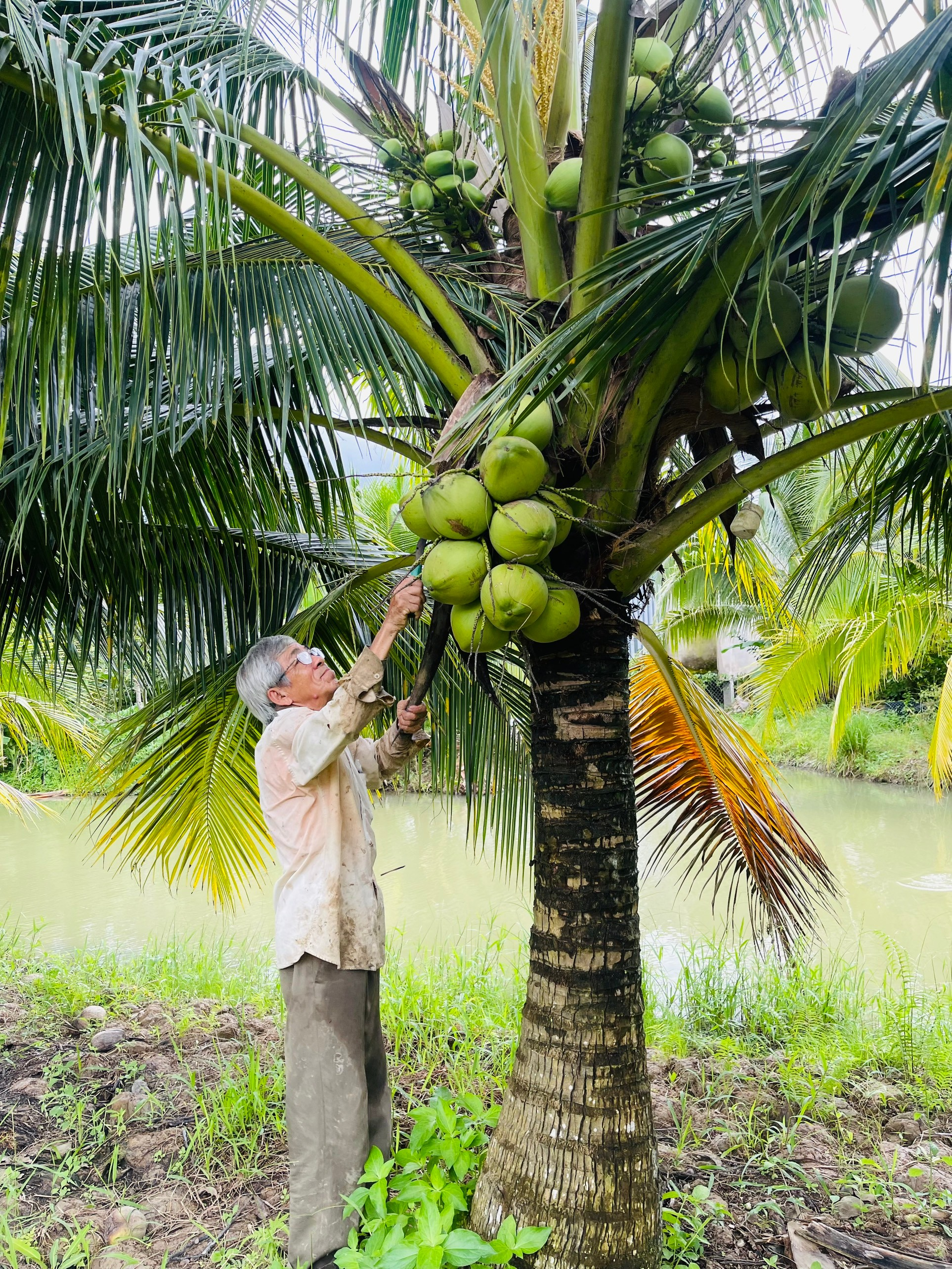 Hội Cựu chiến binh phường Tân Hạnh phát huy tốt vai trò hoạt động ủy thác vốn vay từ Ngân hàng CSXH